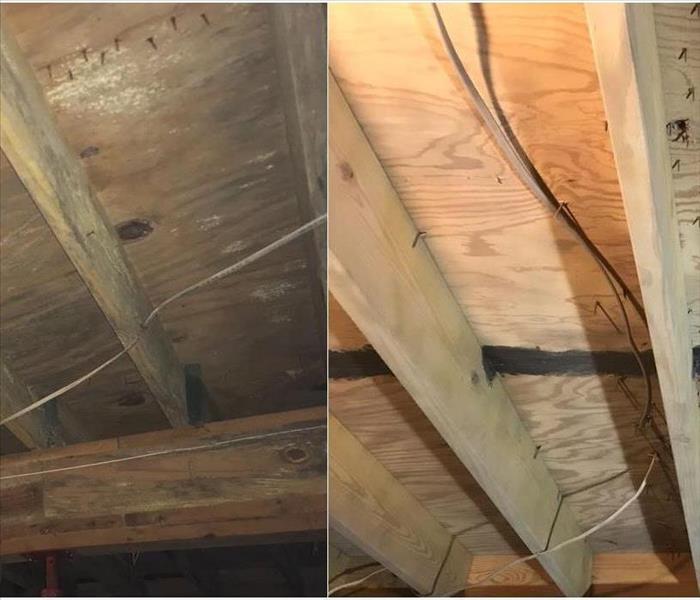 Media Blasting Mold Damage - Before and After